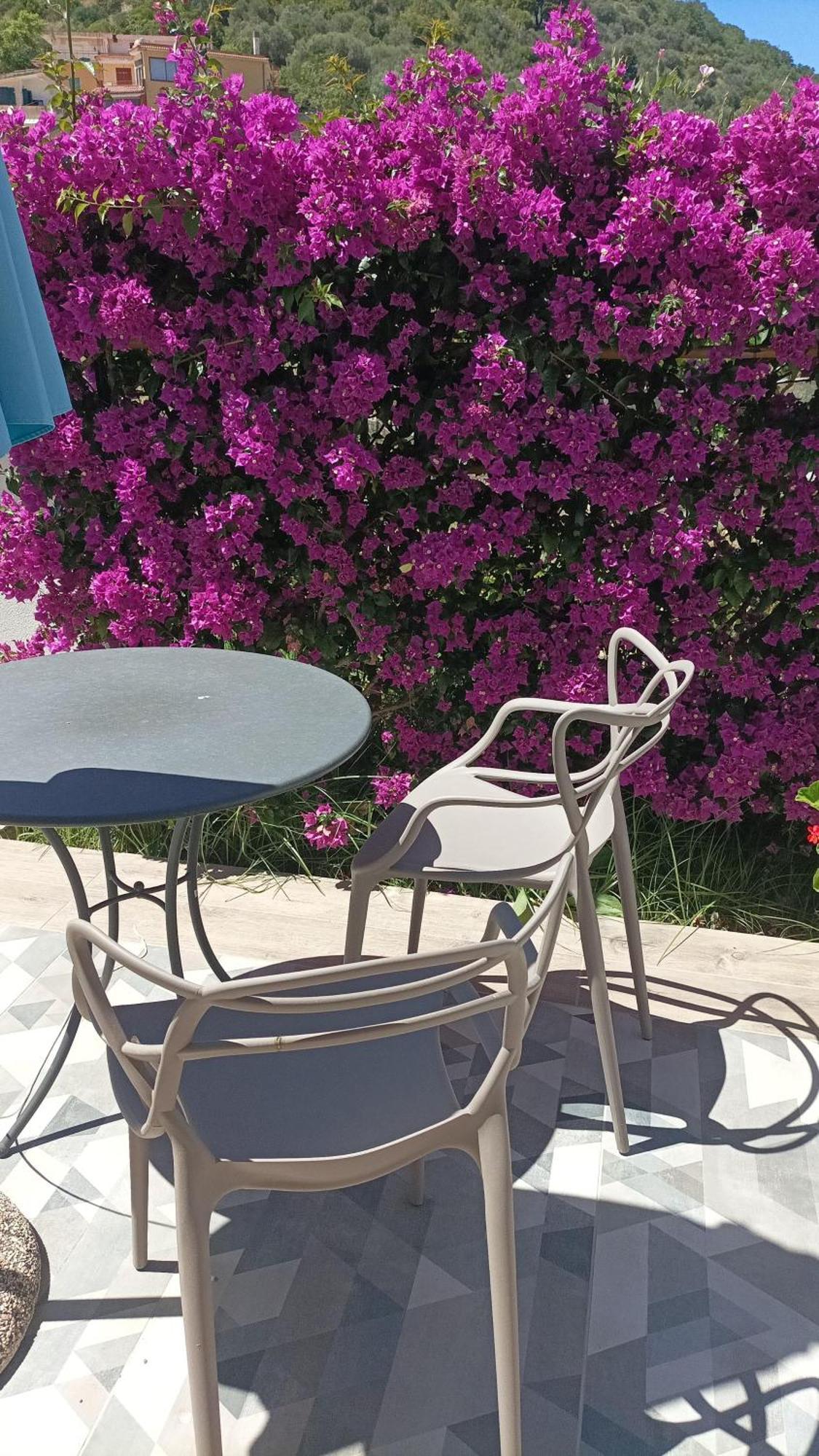 Laris Bed and Breakfast Castellabate Εξωτερικό φωτογραφία