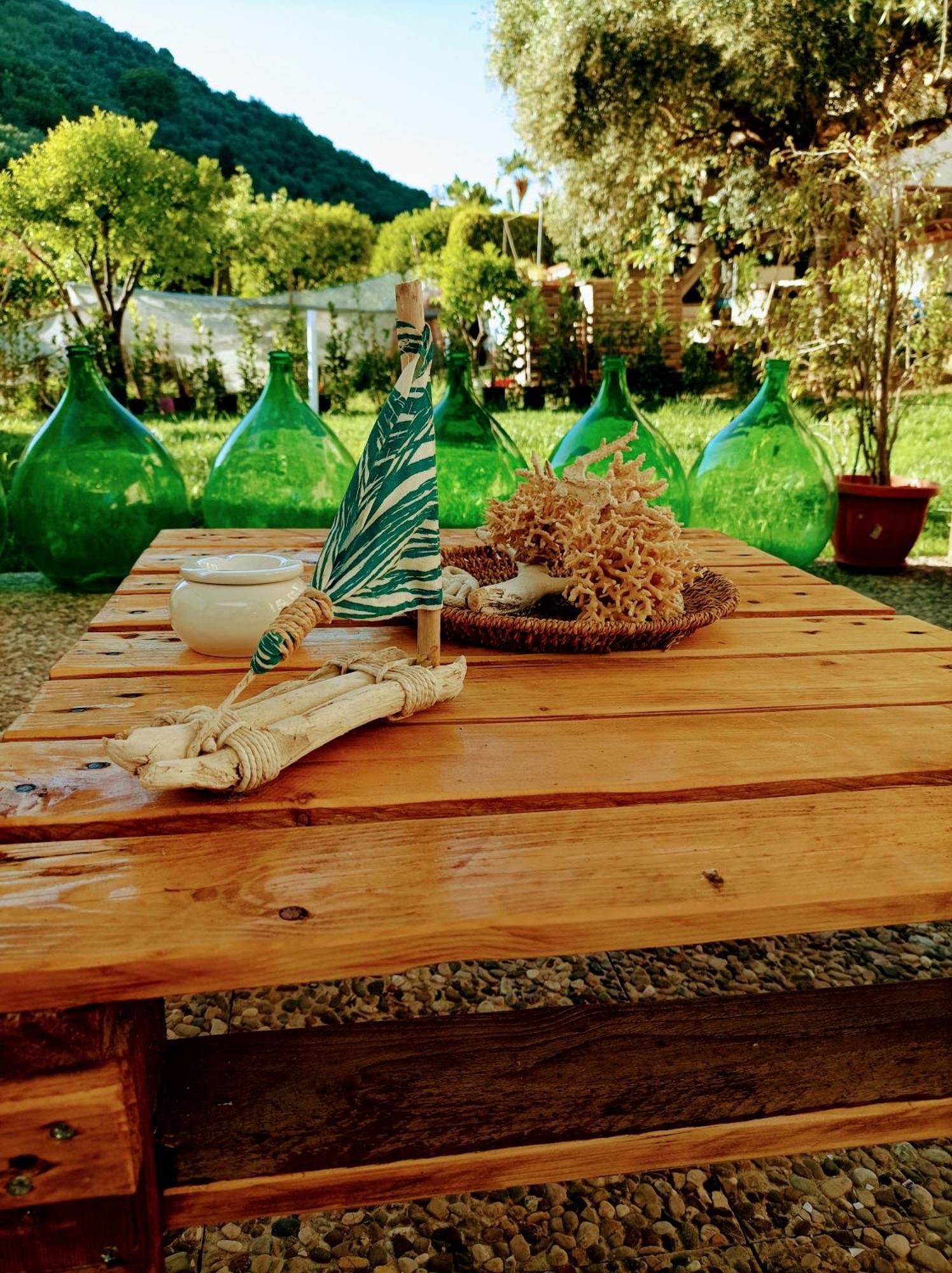 Laris Bed and Breakfast Castellabate Εξωτερικό φωτογραφία