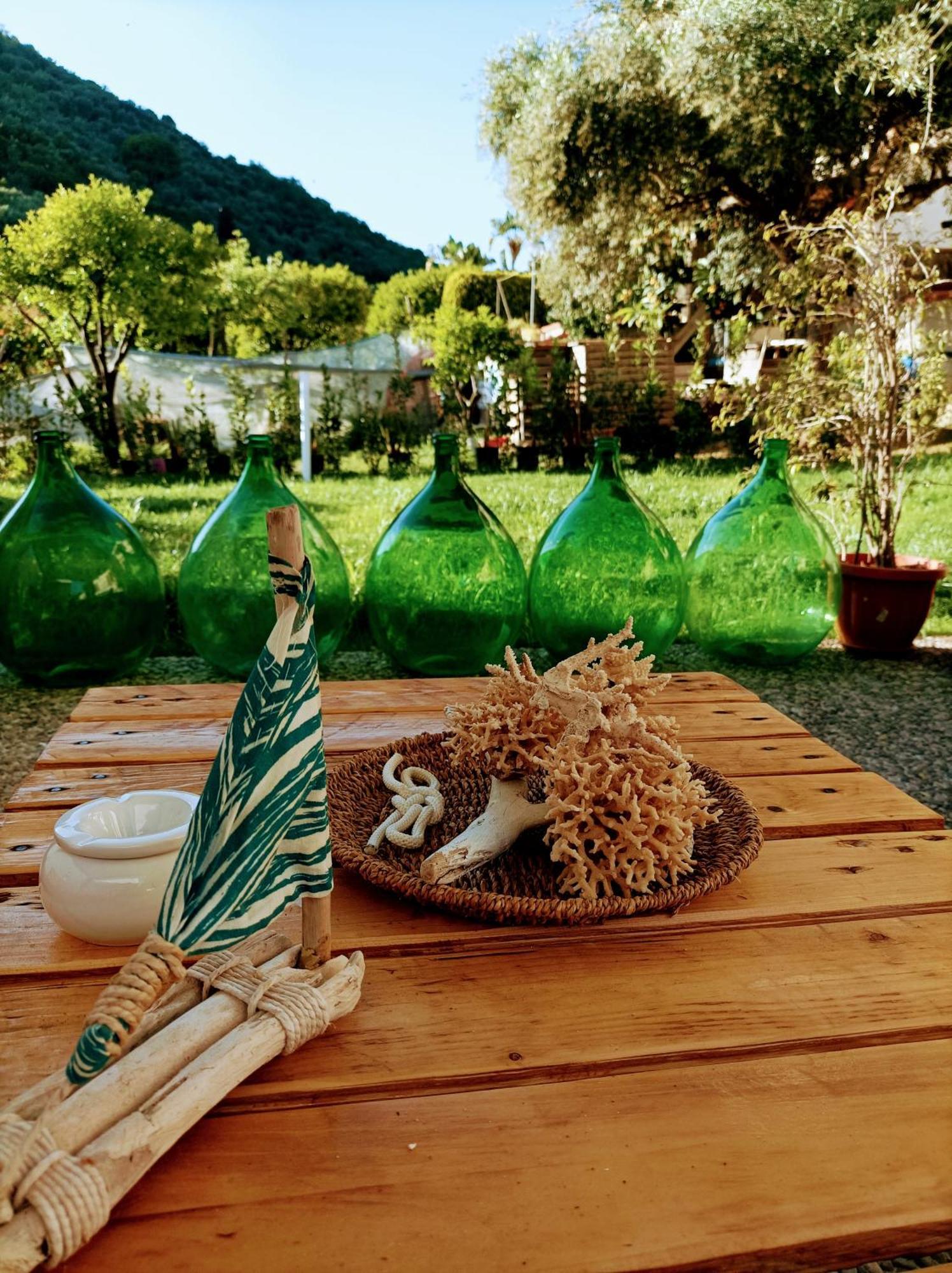 Laris Bed and Breakfast Castellabate Εξωτερικό φωτογραφία